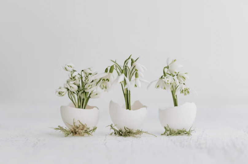 richtlijnen jeugdhulp eischalen plantjes